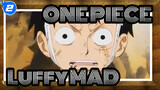 ONE PIECE|[MAD]Luffy:However, I still have my friends..._2