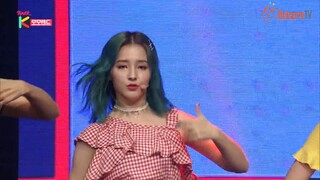 MOMOLAND BAAM Performance