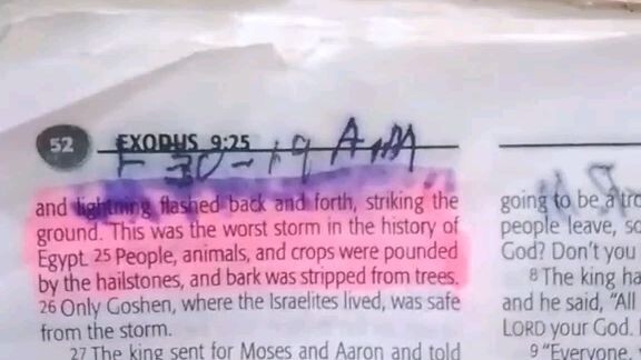 Daily Verse.                  Exodus 9:22-26