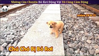 Chú Chó Tội Nghiệp Bị Mẹ Bỏ Rơi Ở Đường Ray Tàu Lửa || Gấu Mập Review