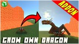 Grow Your Own Dragon Addon - Minecraft Bedrock Edition / MCPE
