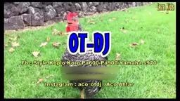 cikendeL song