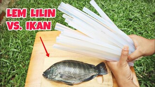 EKSPERIMEN: IKAN vs Lem Lilin Panas (Glue gun).. 5 Jam Direndam Lem Lilin sampai matang #experiment