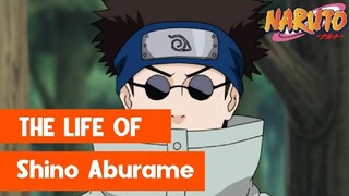 The Life Of Shino Aburame