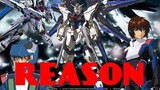 Gundam seed destiny [AMV] "Reason"