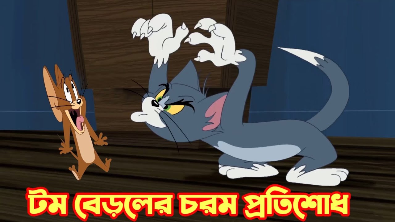 Tom and Jerry Bangla || টম বেড়ালের চরম প্রতিশোধ - Bilibili Tom and Jerry Bangla || টম বেড়ালের চরম প্রতিশোধ - Bilibili