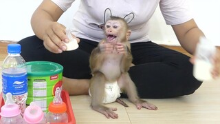 Monkey Drink Milk | Cute Little Maki Cry Feel Angry Mom Change His Bottle Milk