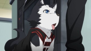 Kuroko No Basuke Episode 21 - Let's Get Started