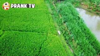 Troll dọa ma bằng Flycam :)) phải tôi tôi đấm cho mấy nhát