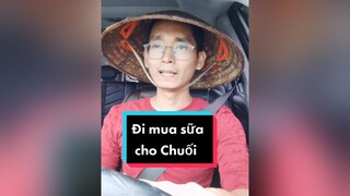 Vội quá vào xe còn quên vẫn đội nón. Haha. cunyeucuadua chó chócon chókhôn chócute