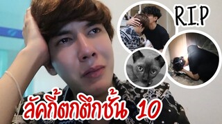 ลัคกี้ตกตึกจากชั้น 10 “ขอโทษที่ดูแลได้แค่นี้” 😢🖤 | Fararim Story