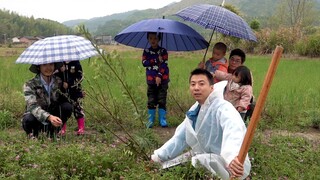 华农兄弟：帮摄影小哥奶奶种点蔬菜果树，小孩们也要跟着一起去