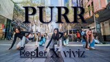 [KPOP IN PUBLIC][ONE TAKE] QUEENDOM 2 KEP1ER X VIVIZ (케비지) "Purr" Cover by CRIMSON 🥀 | Australia