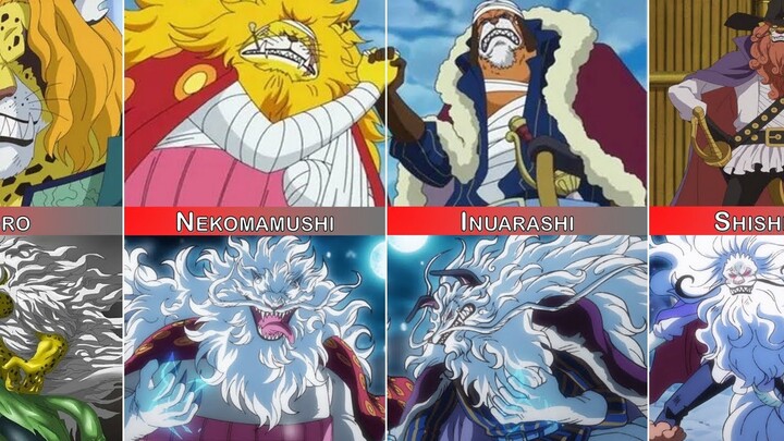 One Piece Mink Tribe Sulong Form | INUARASHI AND NEKOMAMUSHI Transformation