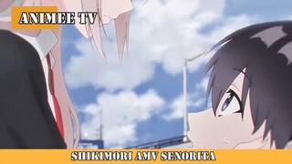 SHIKIMORI AMV SENORITA