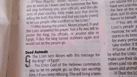 Daily Verse.                  Exodus 9:1-7