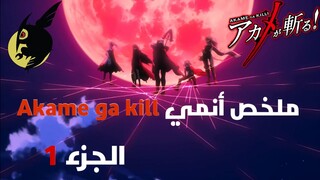 ملخص أنمي Akame ga Kill | القسم الأول