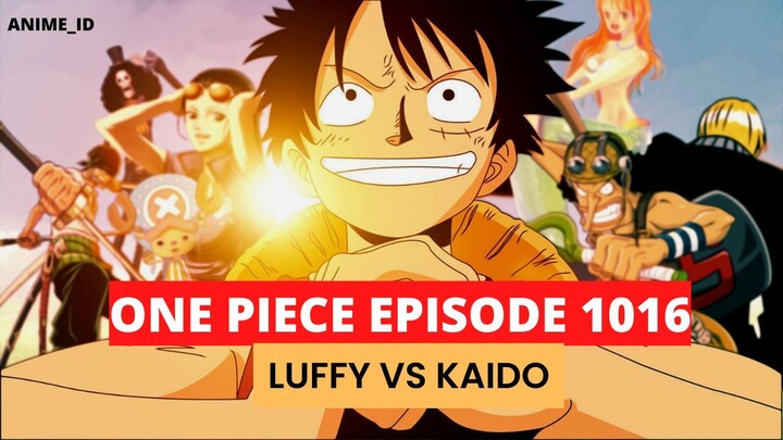 one piece episode 1016 - luffy vs kaido