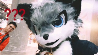 【fursuit】ชิงช้าประจำวันของ*ว์ใน 1002cicf