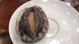 Moist big abalone