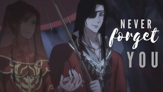 Never forget || Hualian - Hua Cheng x Xie Lian AMV (Heaven Official's Blessing/Tian Guan Ci Fu)