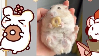 Shocking! Mrs. Hamster appears in the photo just to eat donuts