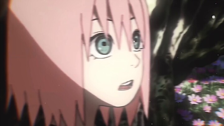 【Haruno Sakura】Faktanya, setiap bunga muncul di mata masing-masing, benar dan salah hanya bergantung