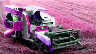 Máy Cắt Lúa KUBOTA DC 93 Có Nhạc l Bé Xem Máy Cắt Lúa Lúc 12h Trưa