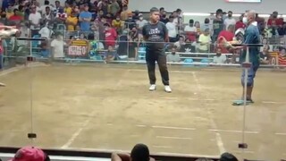 c tatay bulik nmn.. tapos n manalo ung mga anak
