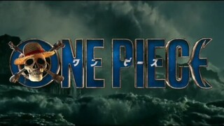 one piece                                                                   Cr:dpt dri tiktok