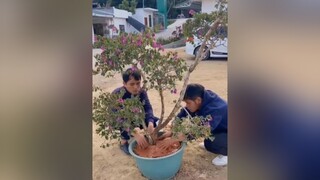 hàitiktok hàihướcvuinhộn hàikịch YeuBangMat funny"