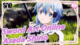 Sword Art Online-Klik untuk melihat istrimu, Asada Shino_2