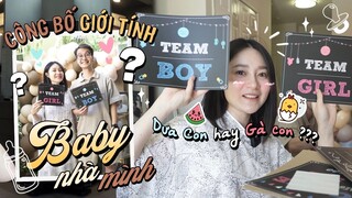 Vlog#110 TIỆC CÔNG BỐ GIỚI TÍNH EM BÉ Ở MỸ / OUR GENDER REVEAL PARTY [Cuộc sống ở Mỹ của Gà Tây Tây]