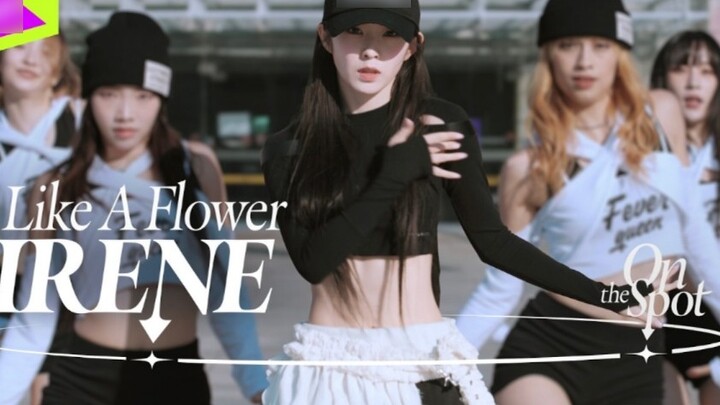 【4K】Bae Joo-hyun's solo debut song "Like A Flower" dance version