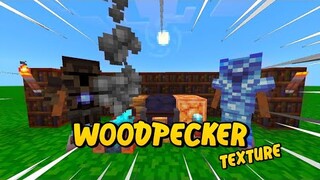 Woodpecker Texture | Minecraft Bedrock | P.E. | Resources Pack | 1.16+ | Minecraft Texture Showcase