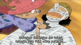 Moment Lucu Onepiece ( Chopper Bug Moment)