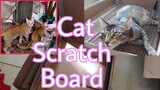 Cat scratch board recyling cardboard boxes!DIY