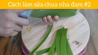 Cách làm sữa chua nha đam p2