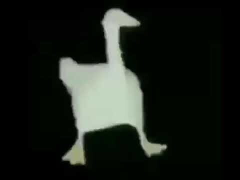 Dancing goose goes wild
