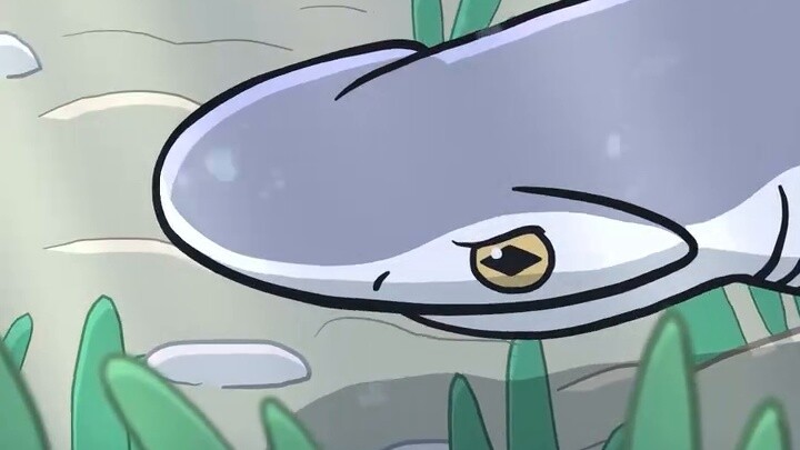 A shark that eats grass? Bonnethead shark