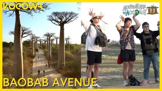 Dex, Kian84, & Pani Bottle Are In Awe At Baobab Avenue | Adventure By Accident 3 EP4 | KOCOWA+