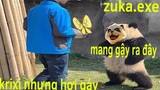 Zuka.exe | Híu đi chơi liên quân