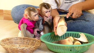 Two Obedient Baby Monkey | lovable Tiny Maki & Maku Sit Watching Mom Cutting Vegetable For Cook