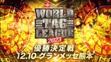 NJPW World Tag League 2023 Final - 10 December 2023