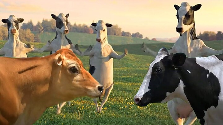 FUNNY COW DANCE 4 │ Cow Song & Cow Videos 2026