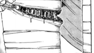 [Curious/Reversal] The way for a restless boy in adolescence to vent his lust is...