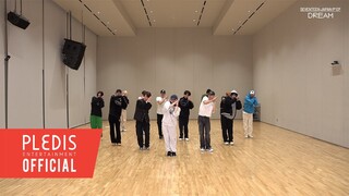 [Choreography Video] SEVENTEEN(세븐틴) - DREAM