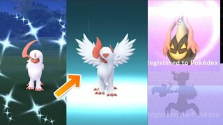 Shiny Absol in the wild finally  Mega Evolved! New Halloween Pokemon part 2