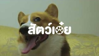 หมา vs ฆาตกร | ขุนแผน & พิมพิลา สัตว์เอ๋ย