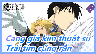 [Cang giả kim thuật sư]Trái tim cứng rắn--- Gửi tất cả Fan của Cang giả kim thuật sư_2